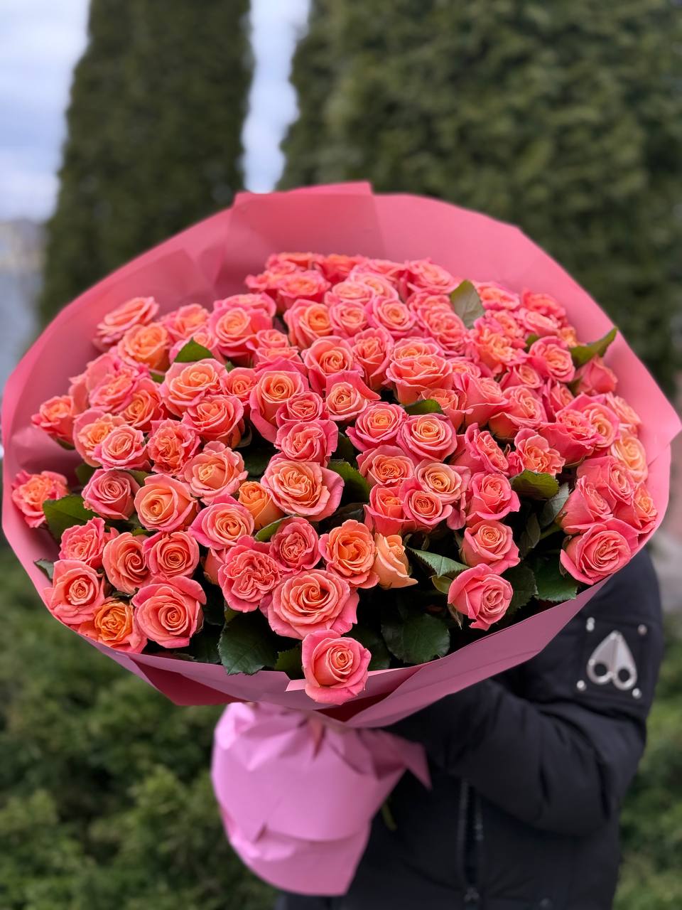 101 Rosen Sorte Miss Piggy