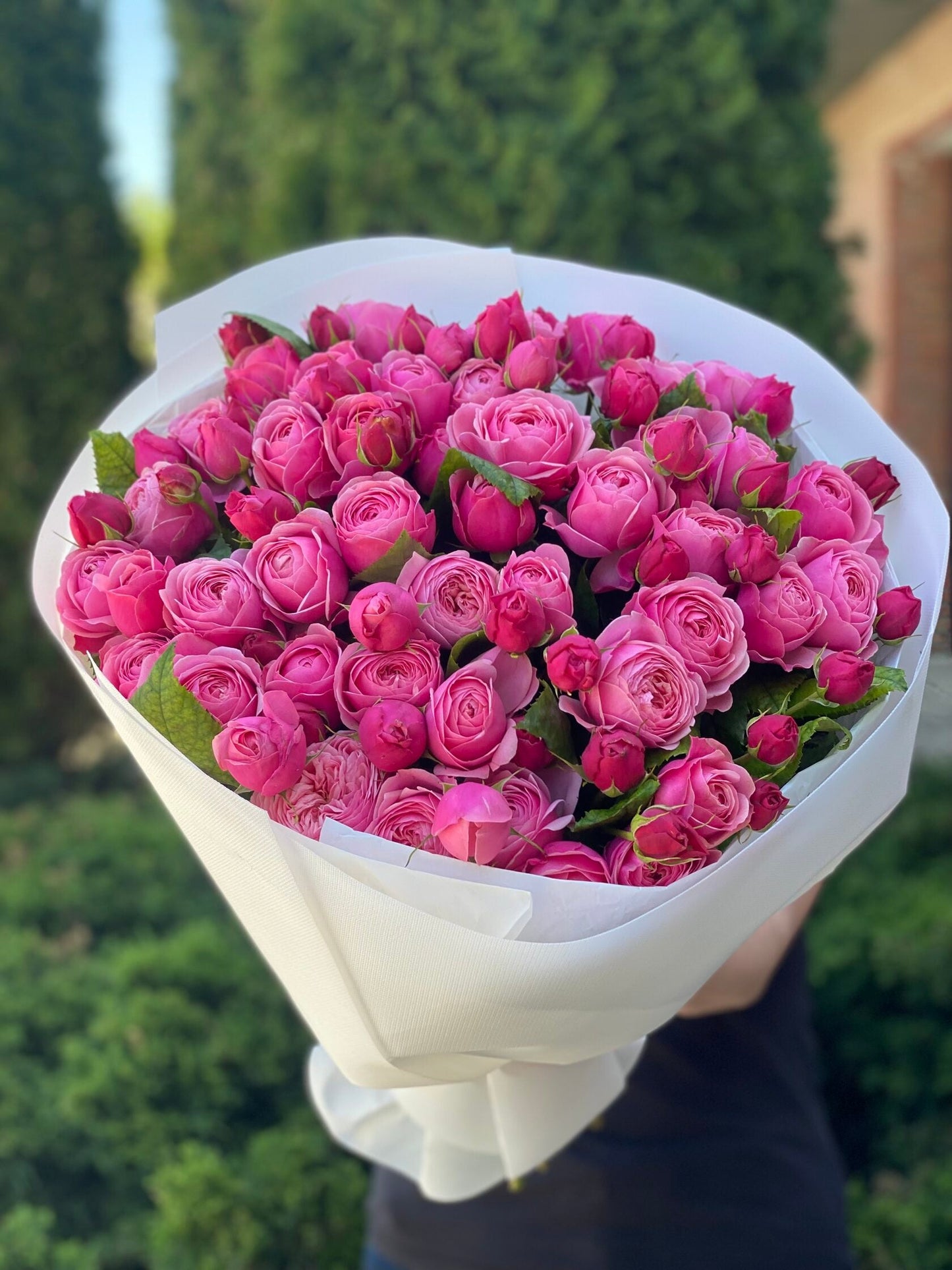 39 пионовидных роз сорта LavenderLace Light