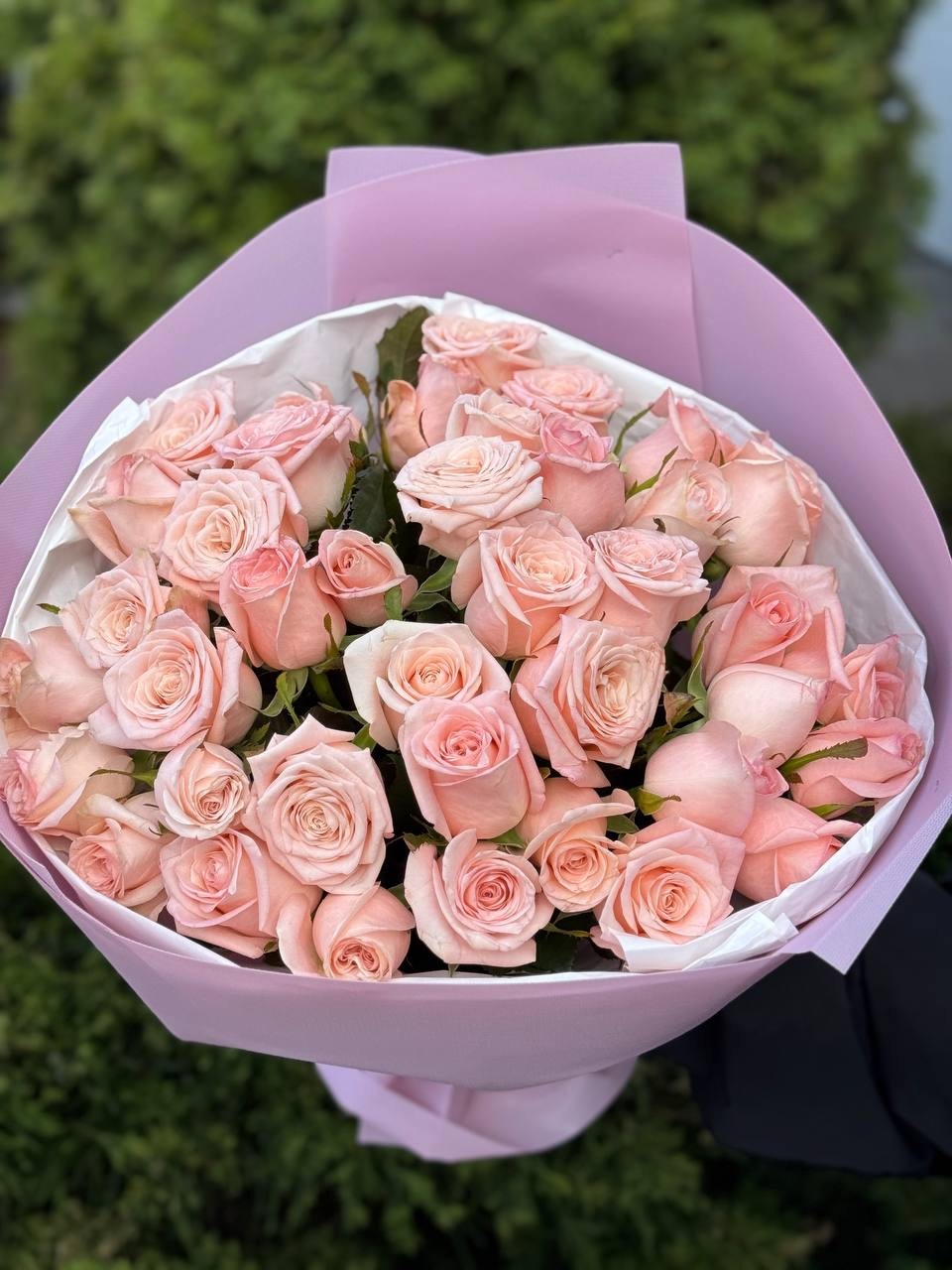 39 Rosen Sorte Kimberly