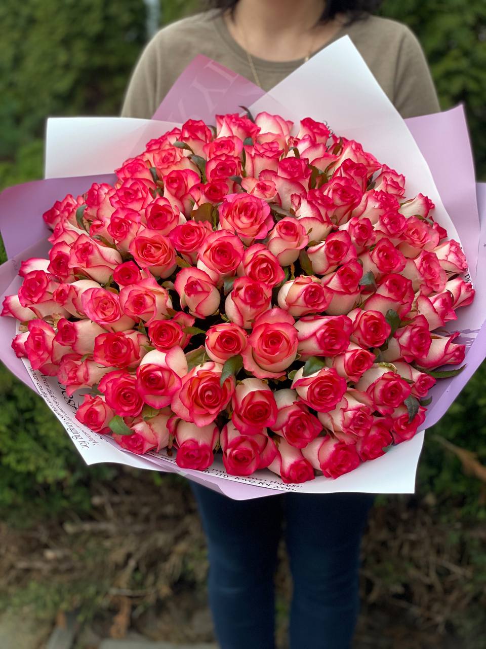 101 Rosen Sorte Jumilia