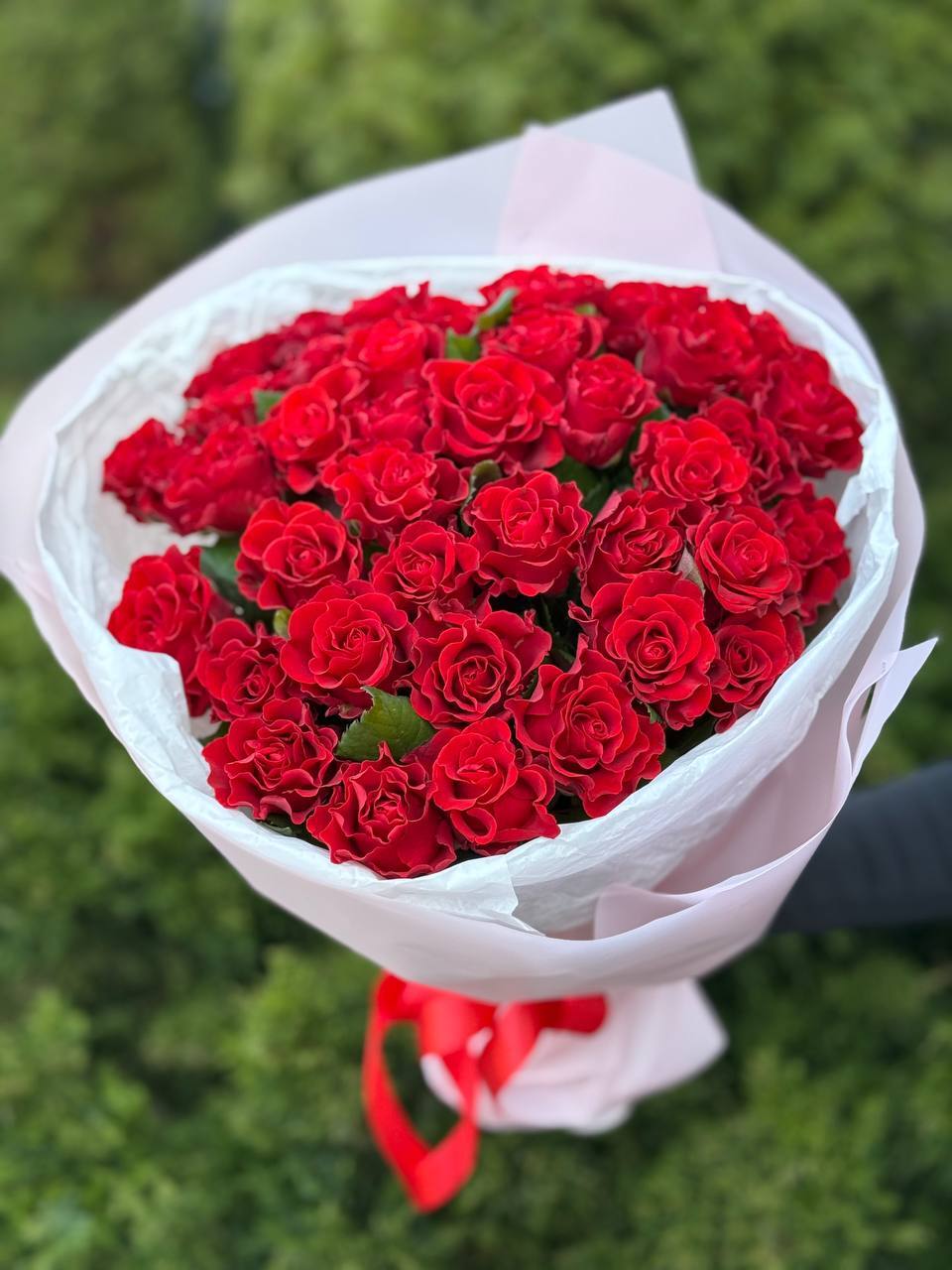 39 роз Эль Торо