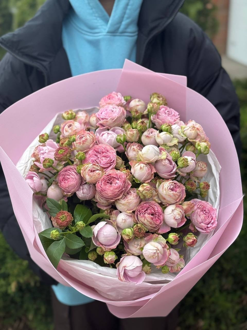 39 пионовидных роз сорта «Лаванда»