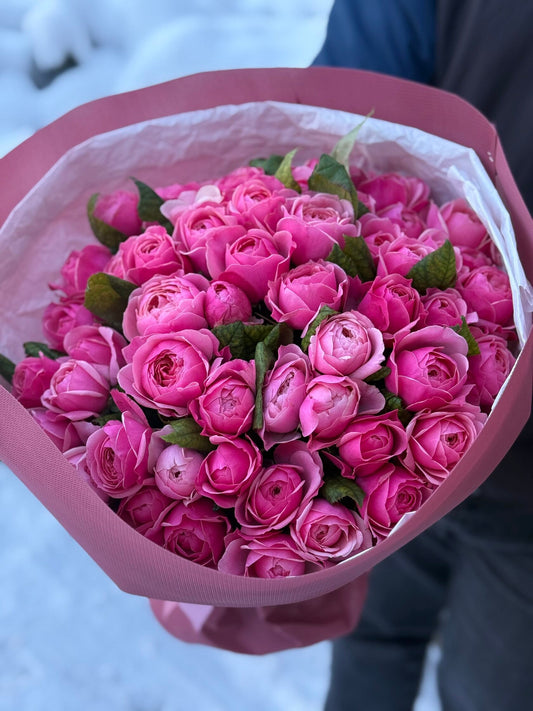 51 троянд сорт Лайт ПИОНОВИДНІ