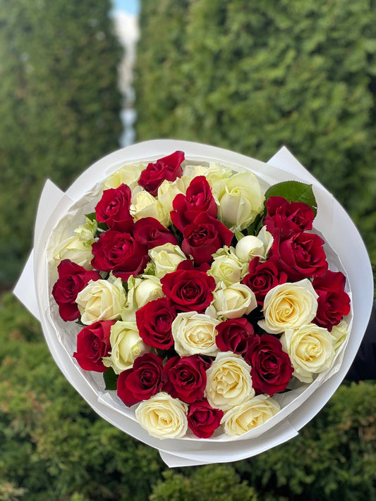 39 роз сортов Гран При и Аваланж