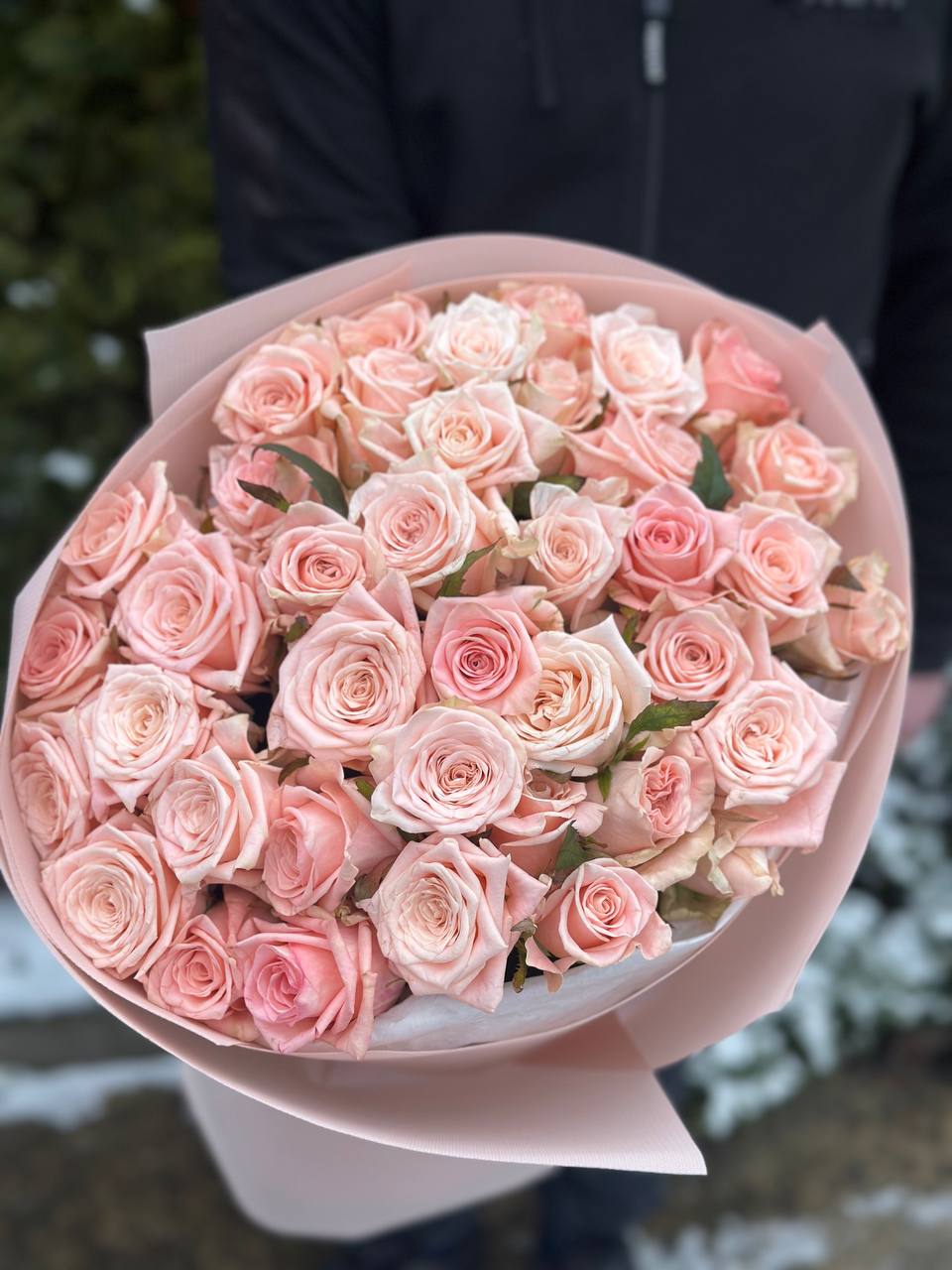 39 Rosen Sorte Kimberly