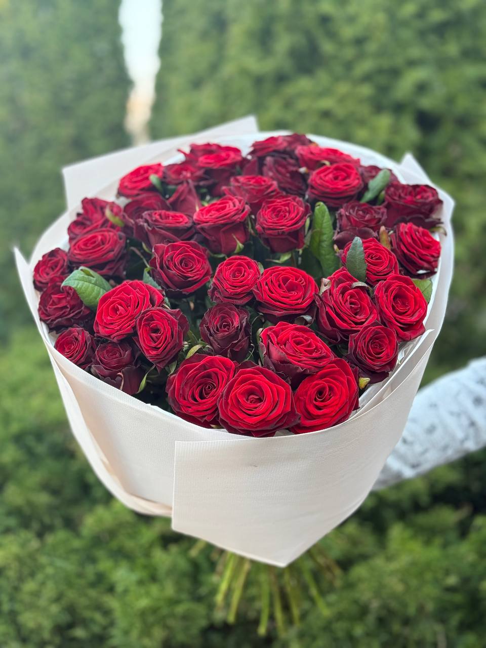 39 роз Гран При