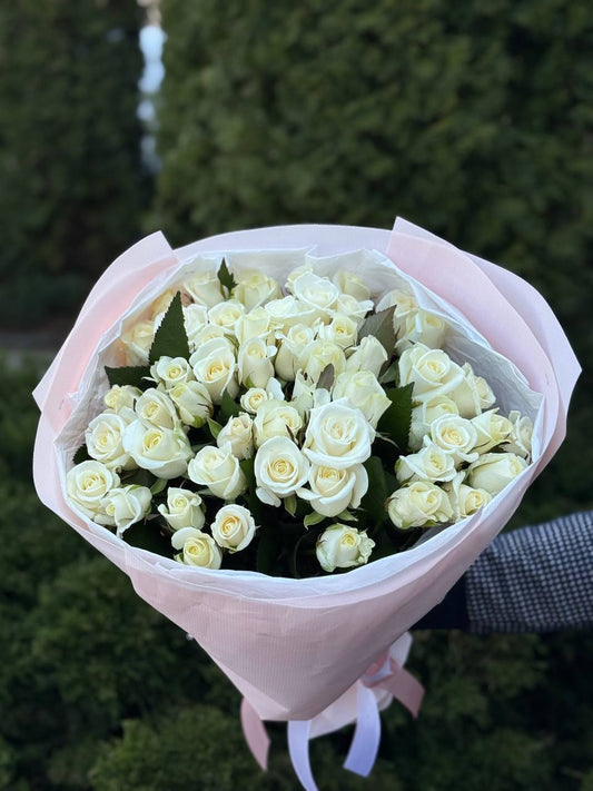 51 троянд сорт Белуга