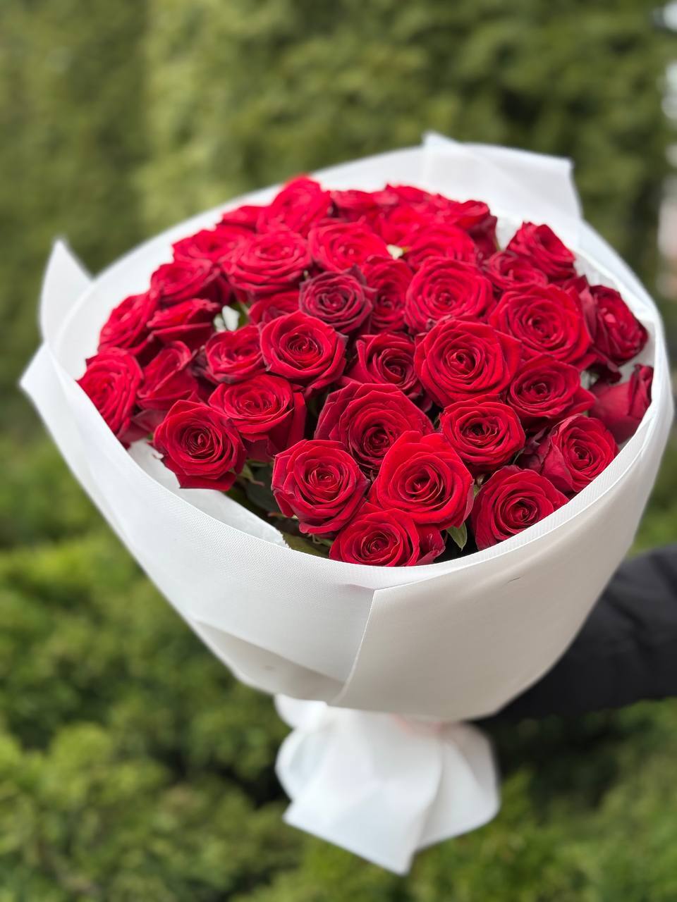 39 роз Ред Наоми