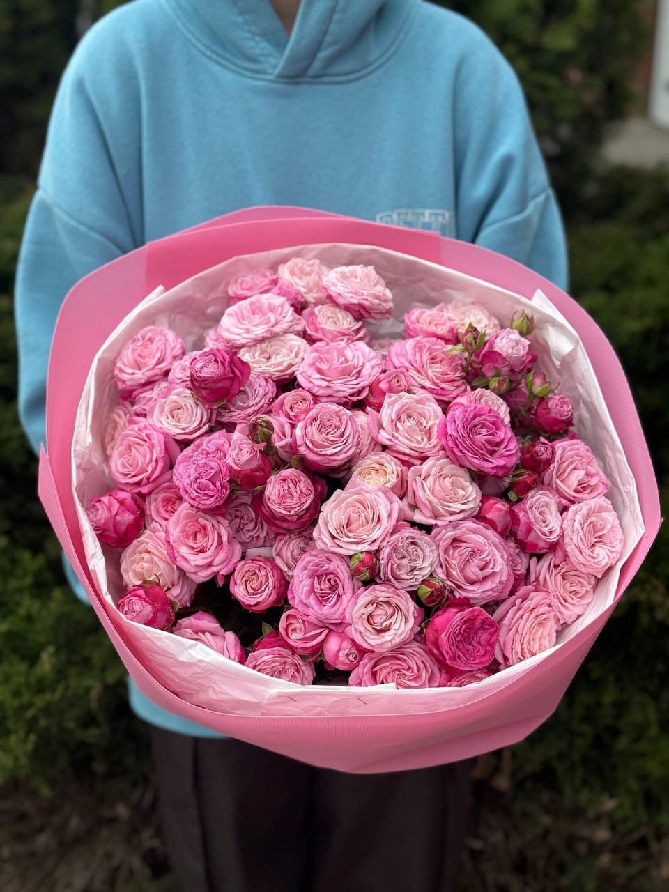 51 Pfingstrosenrosen der Sorte Lady Bombastic