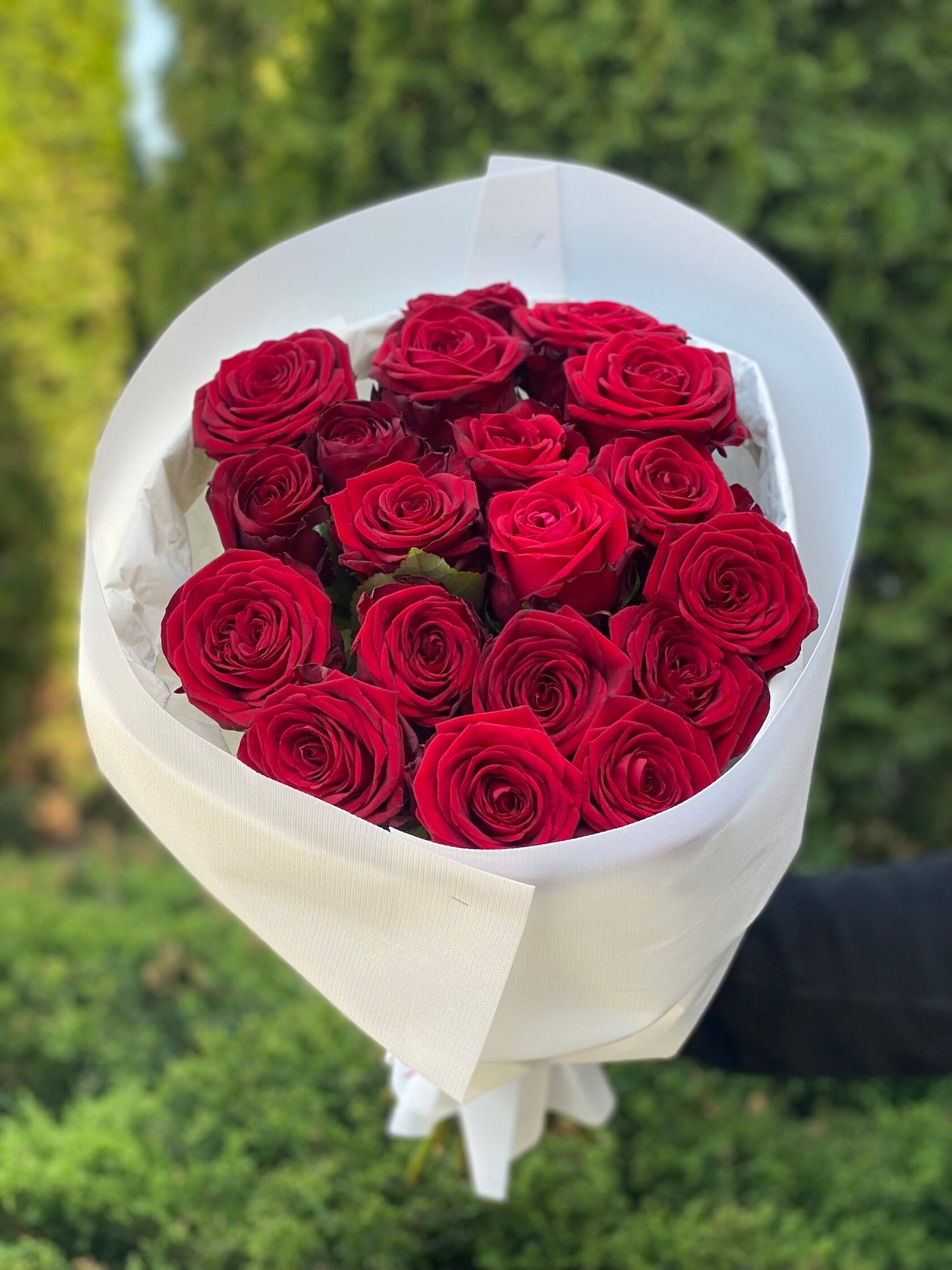 19 Rosen Sorte Grand Prix