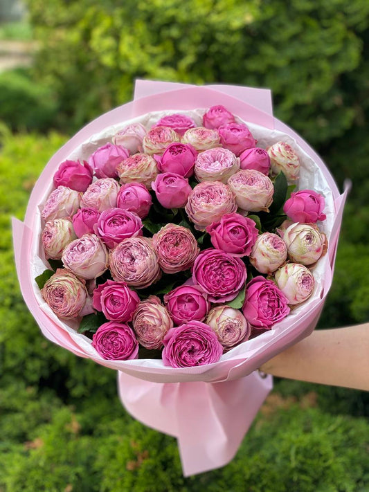 39 пионовидных роз сортов LavenderLace и Lavender