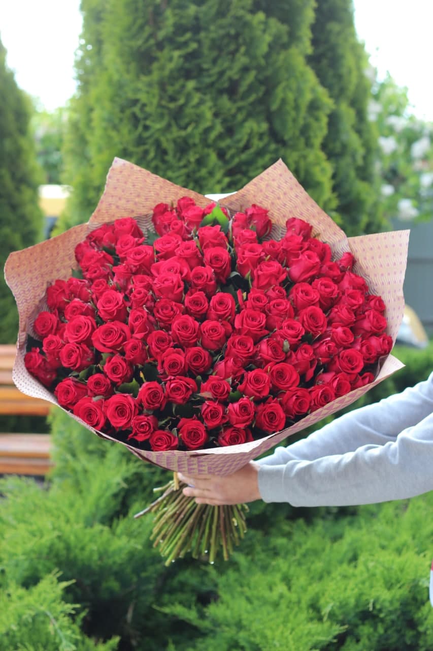 101 Rosen der Sorte Red Eagle