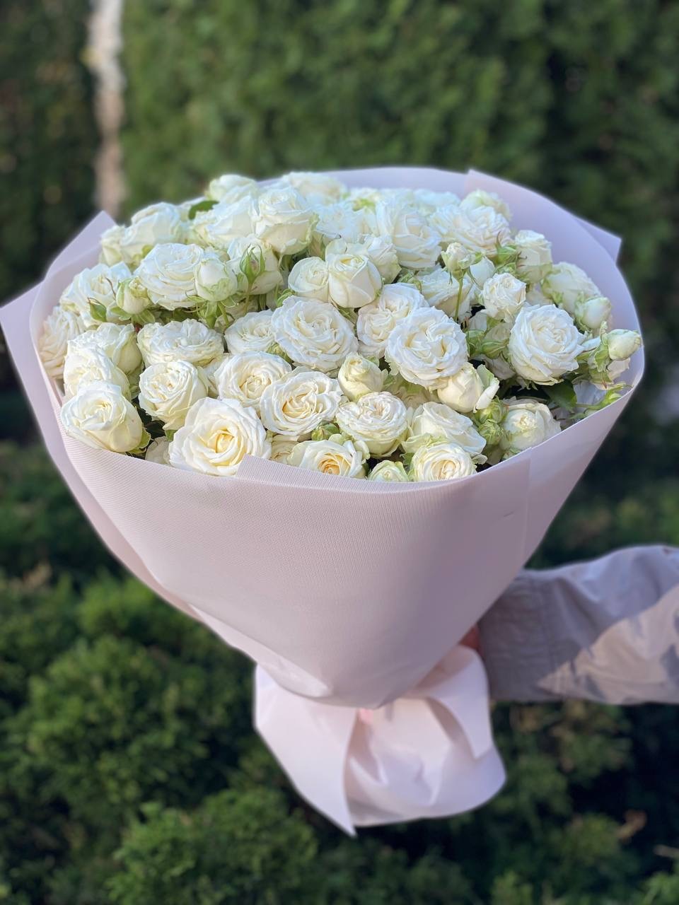 39 пионовидных веток роз сорта «Мисс Бомбастик»