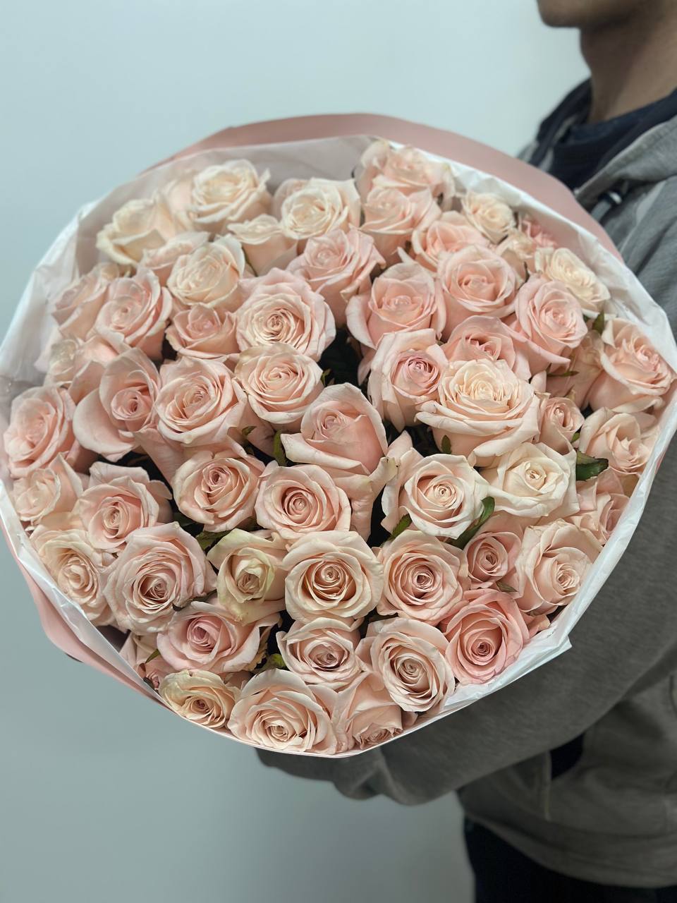 51 Rosen der Sorte Kimberly