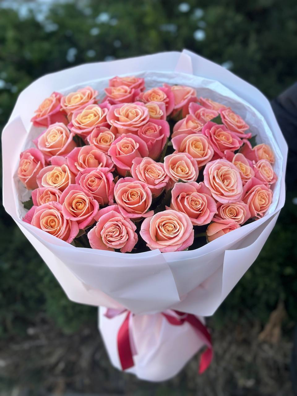 39 роз Мисс Пигги