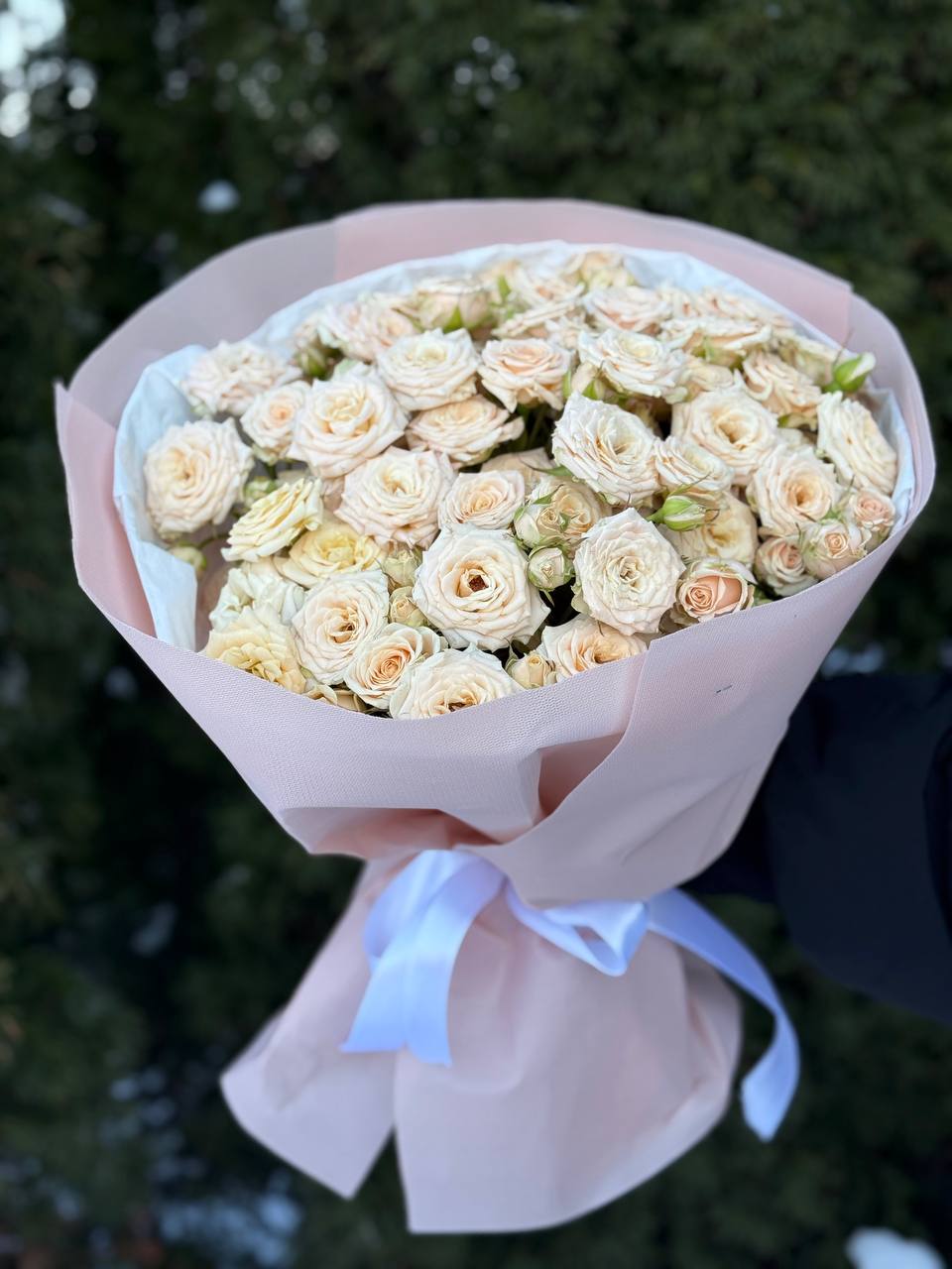 39 веток роз сорта Таня