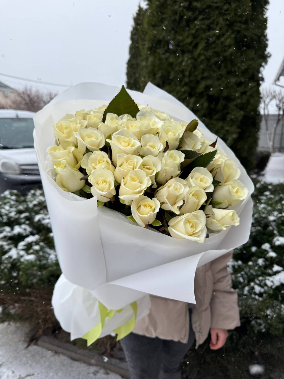 39 троянд сорт Білуга