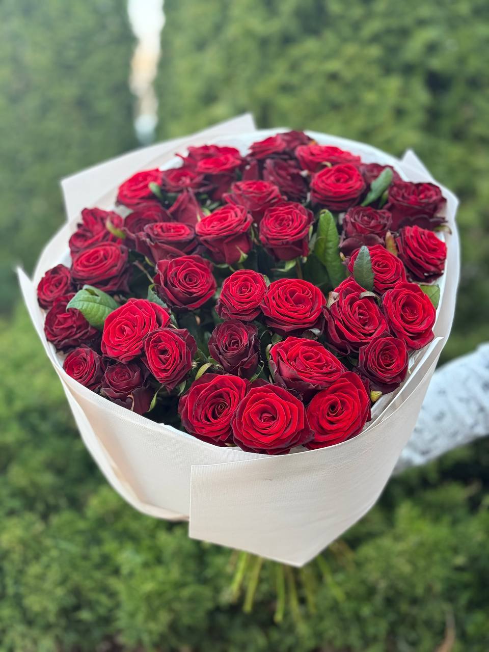 39 роз Гран При