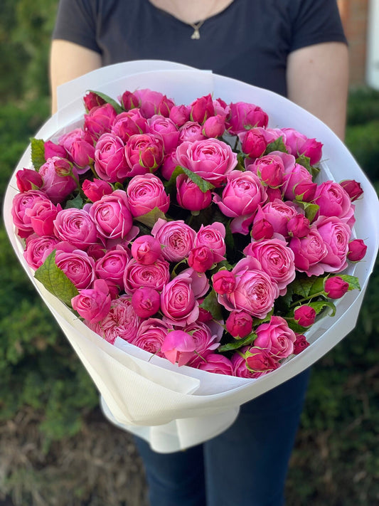 39 пионовидных роз сорта LavenderLace Light