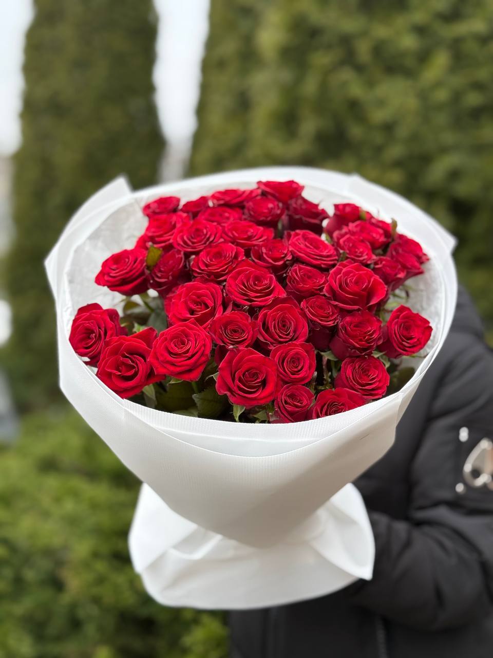 39 троянд сорт Престиж