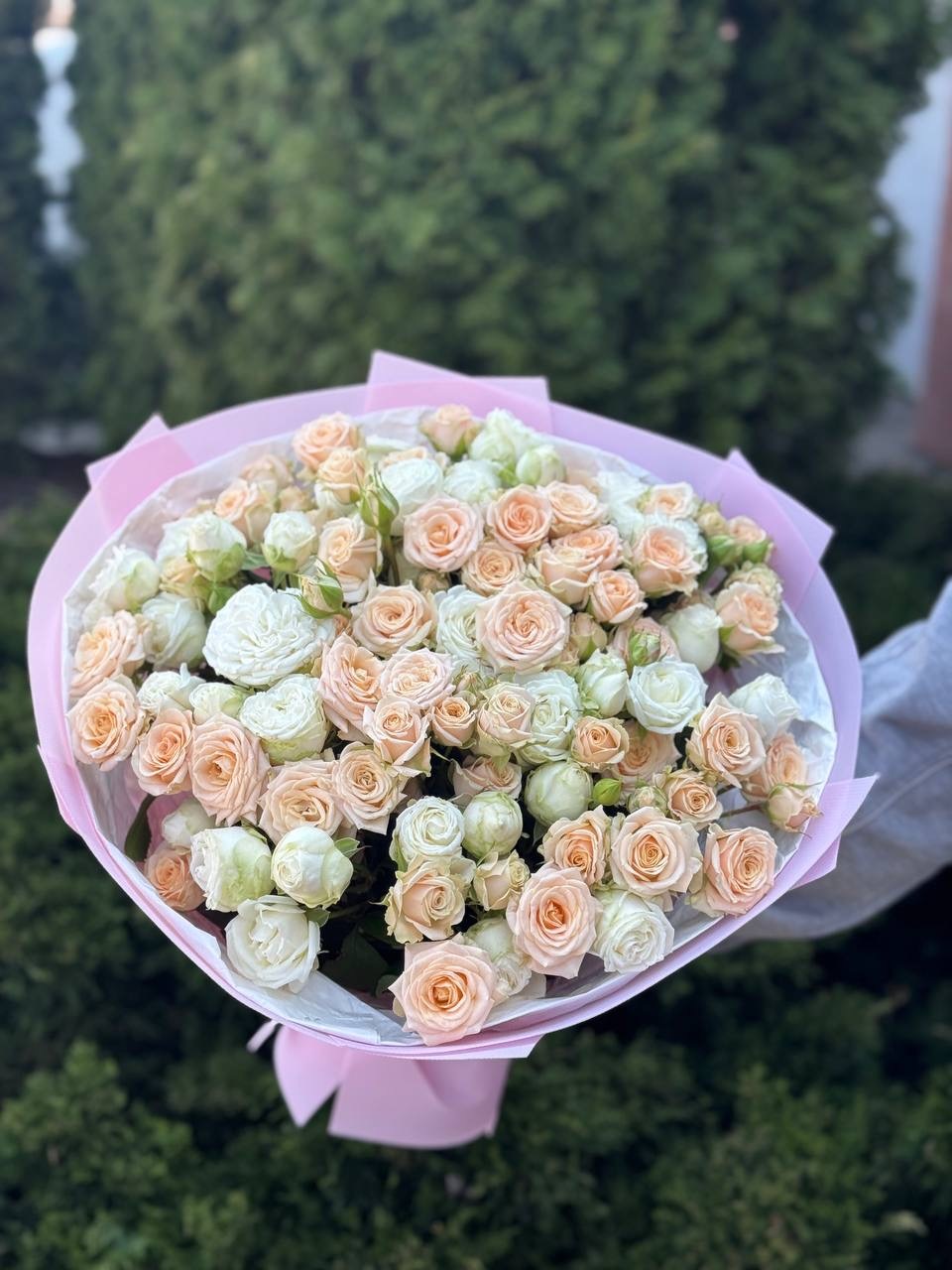 39 роз — Мисс Бомбастик и Таня