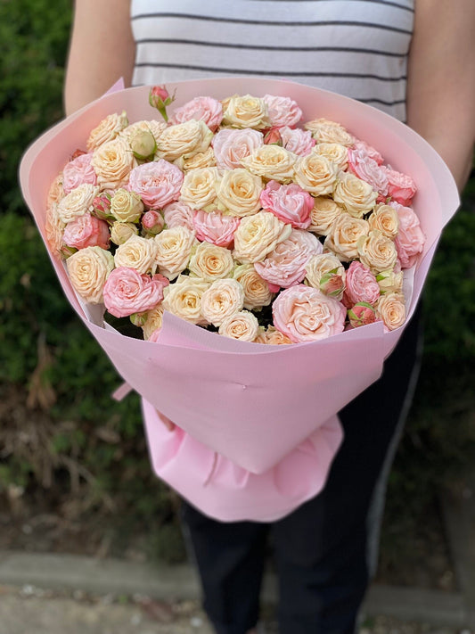 39 роз сортов Таня и Бомбастик