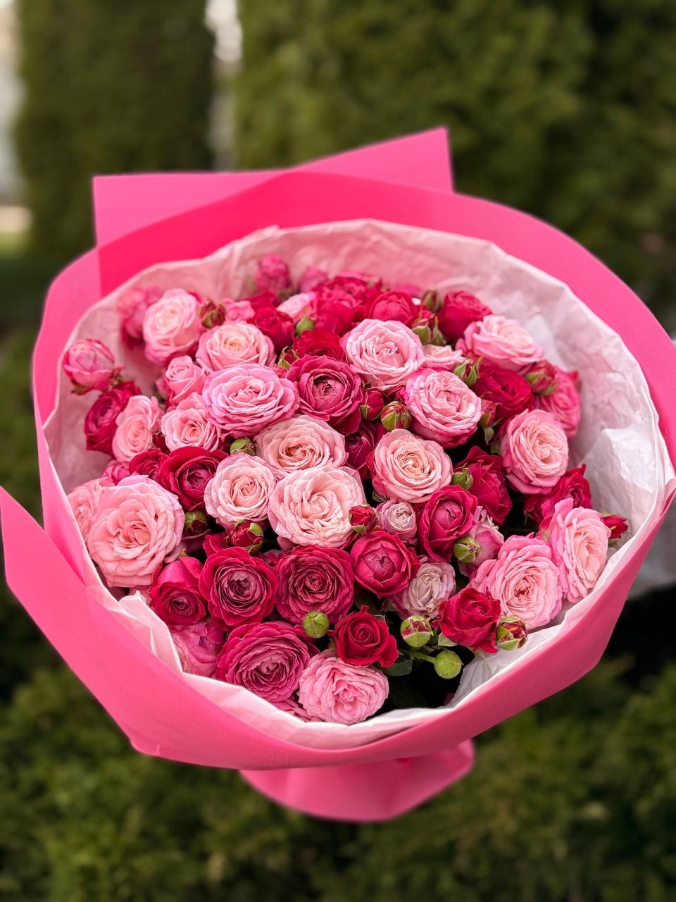 39 роз - Lady Bombastic и Majestic