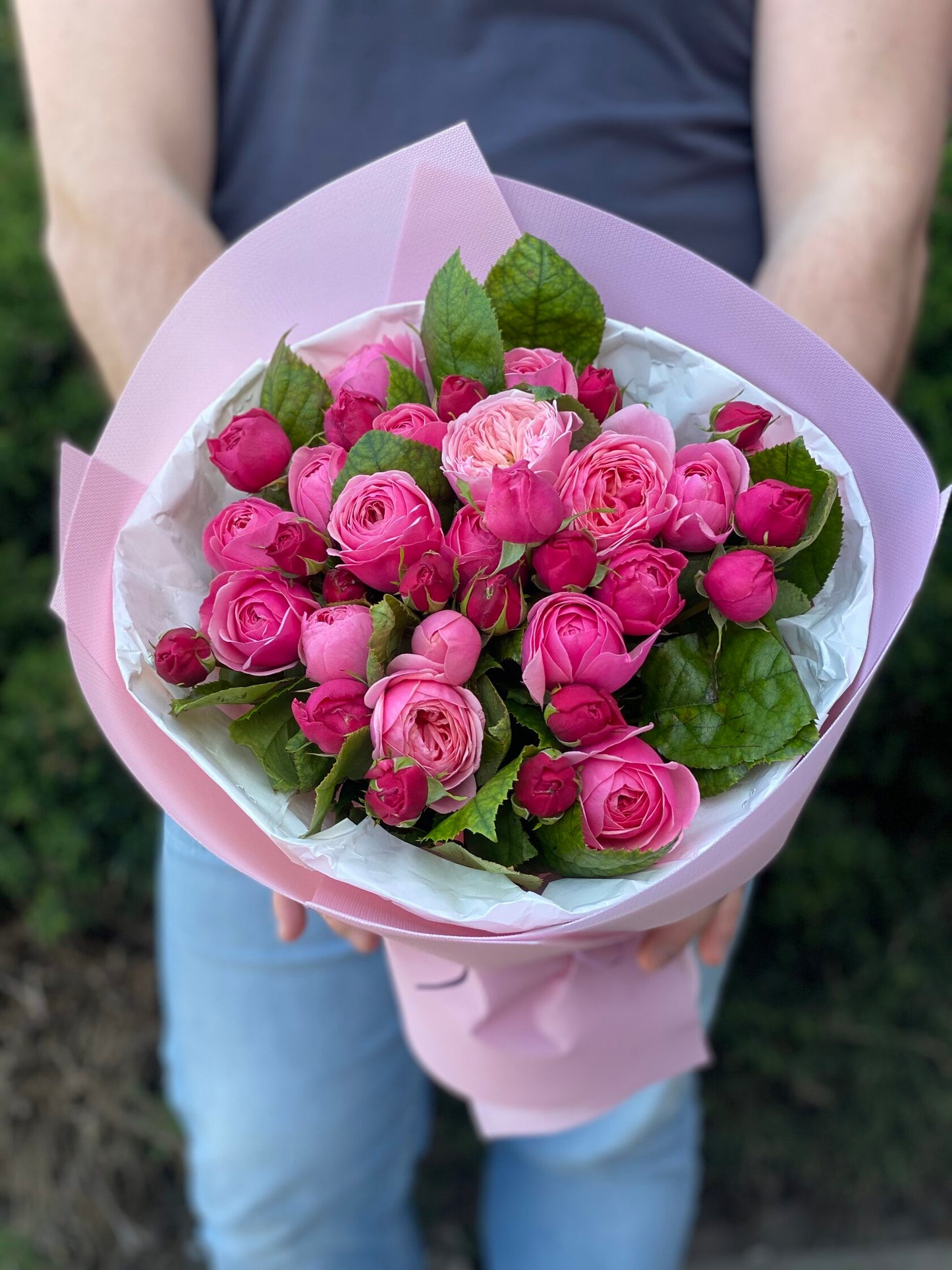 19 verzweigte pfingstrosenähnliche Rosen Sorte Lavenderlace Light