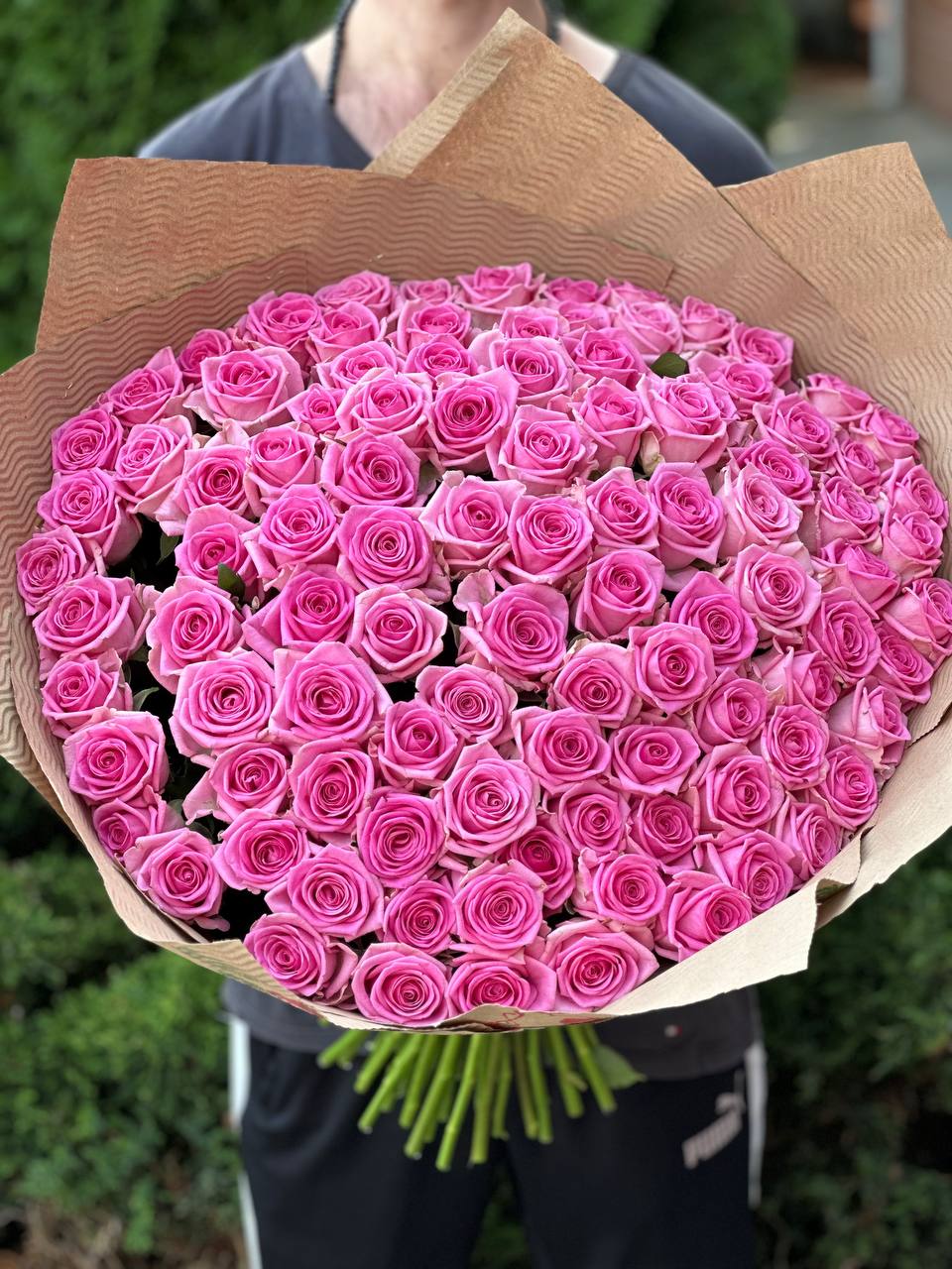 101 Rosen Sorte Aqua