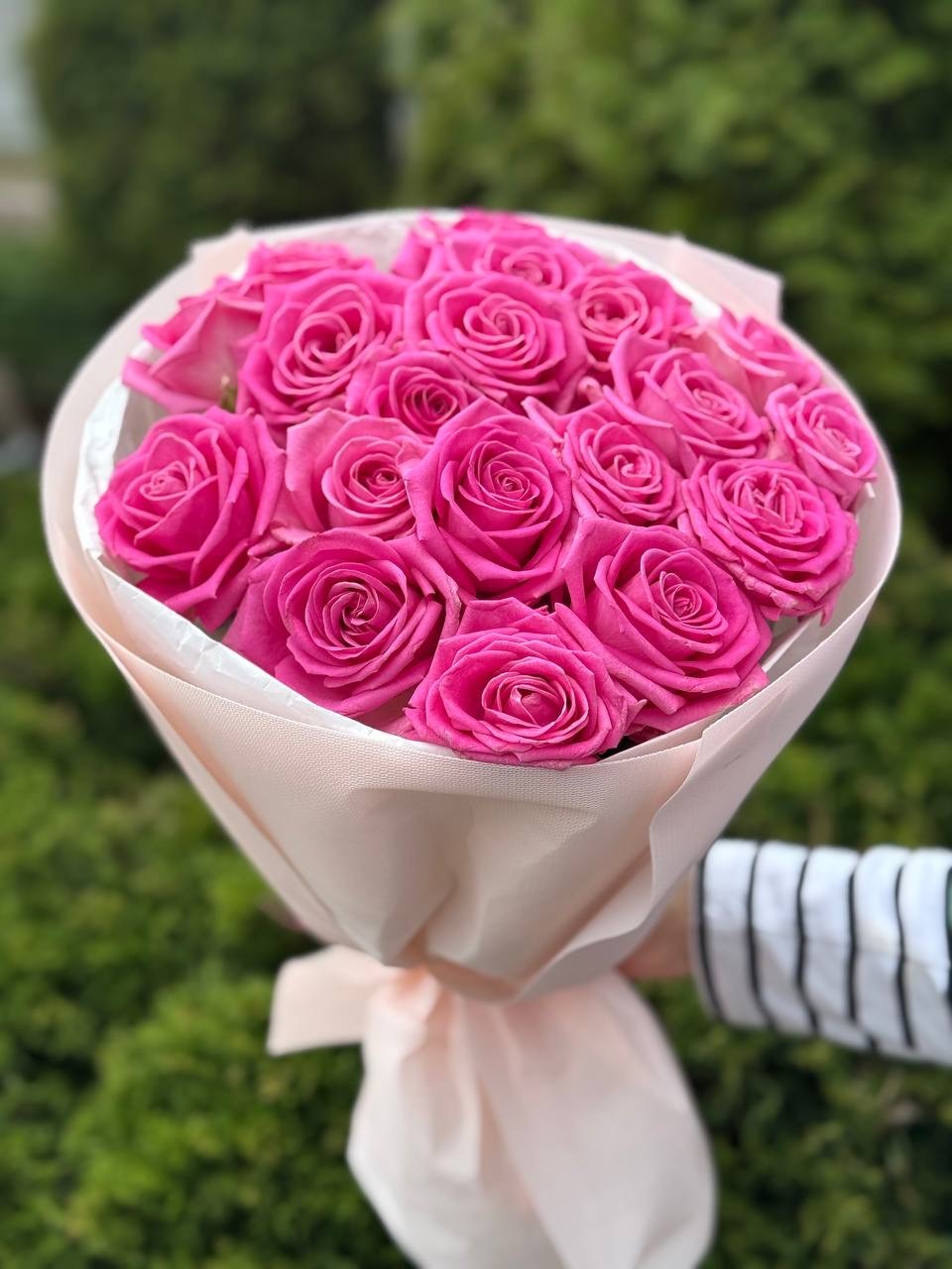 19 Rosen Sorte Aqua