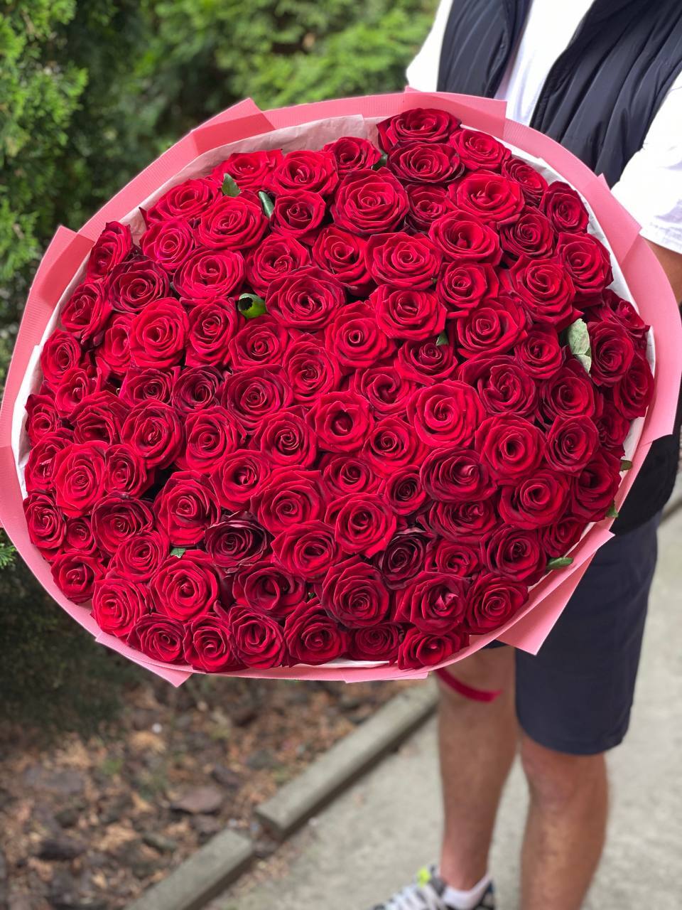 101 Rosen der Sorte Red Eagle