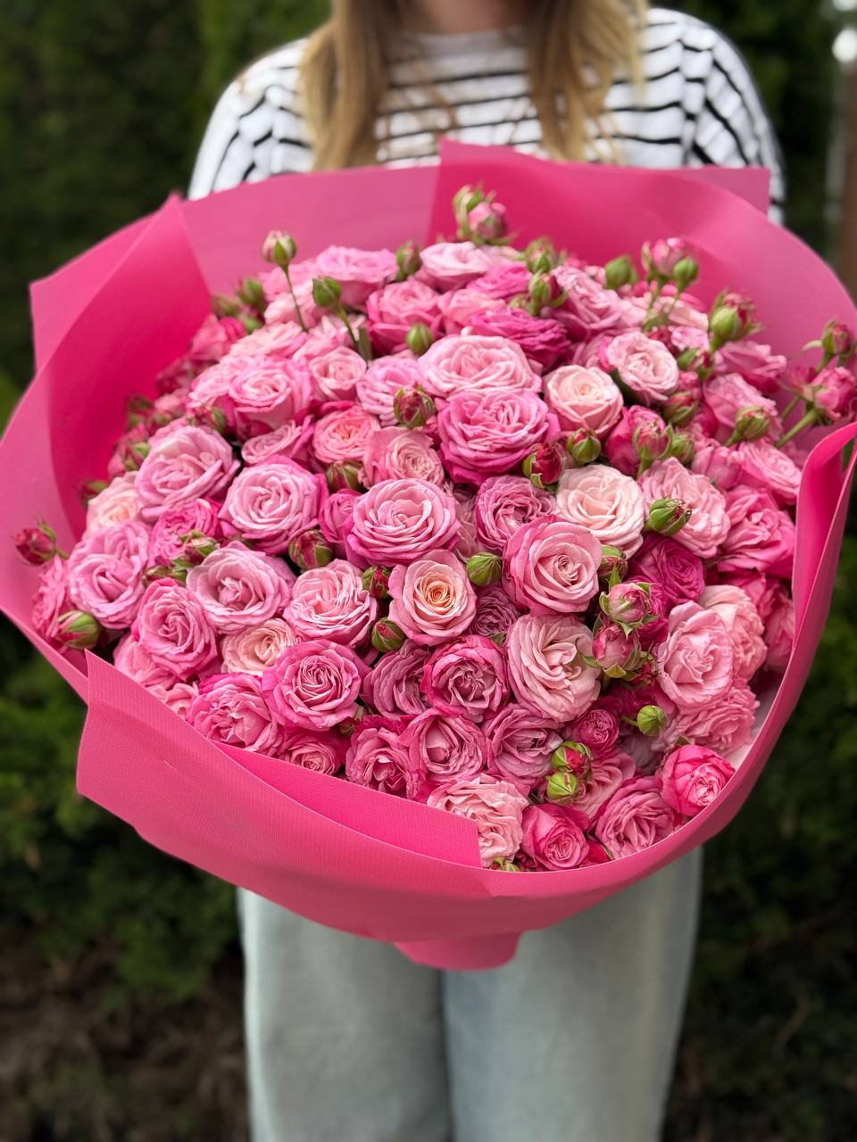 101 Pfingstrosenartige Rosen der Sorte Lady Bombastic