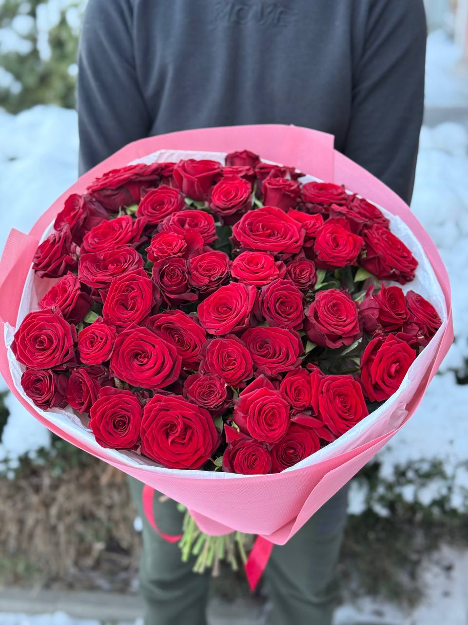 51 Rosen der Sorte Grand Prix