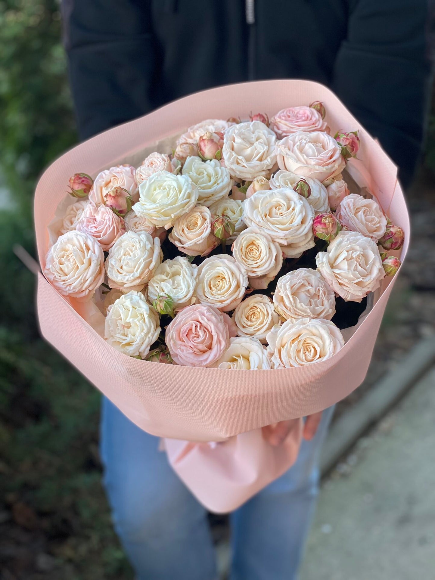 19 pfingstrosenähnliche Rosen Sorte Bombastic