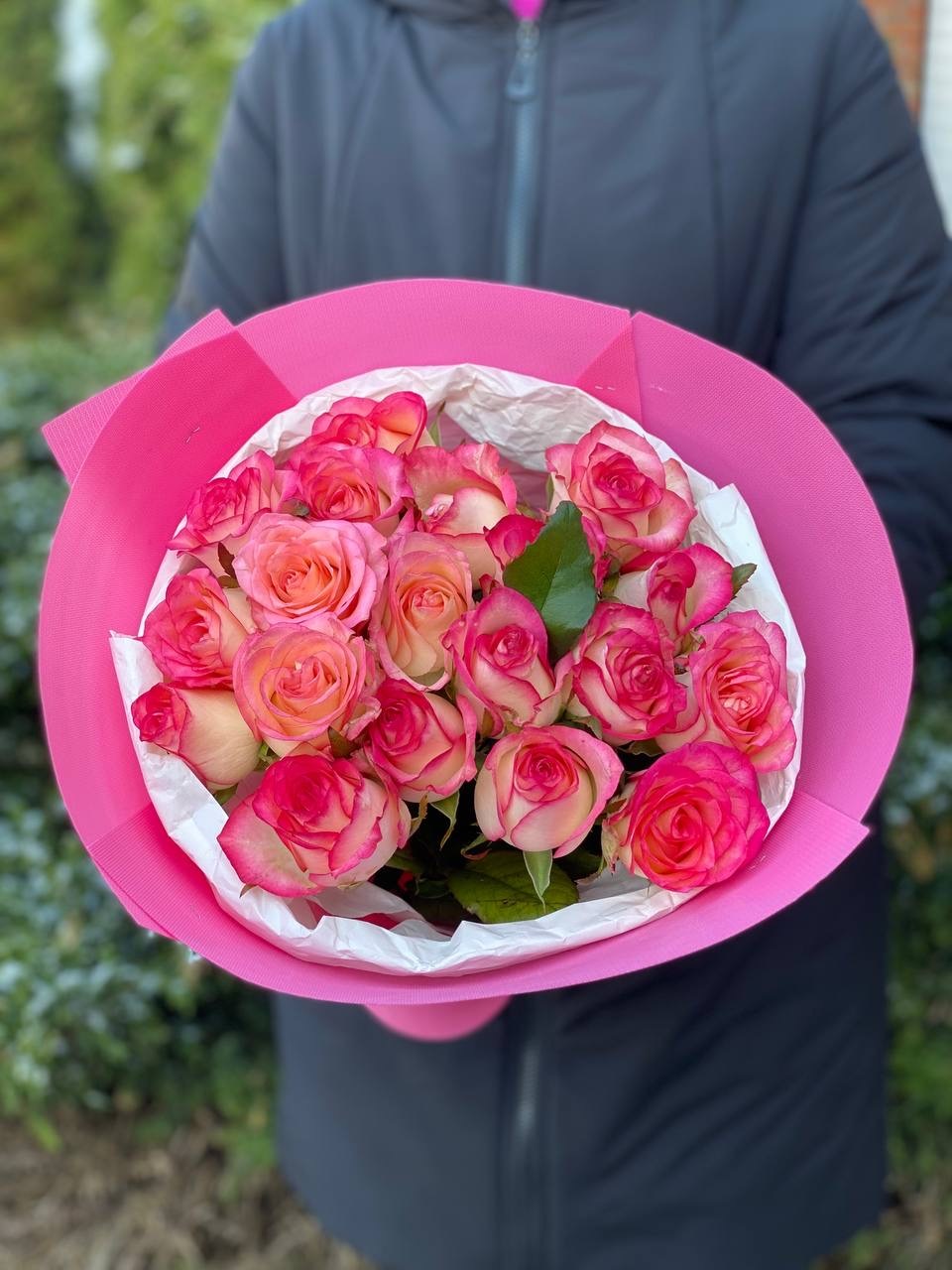 19 Rosen Sorte Jumilia