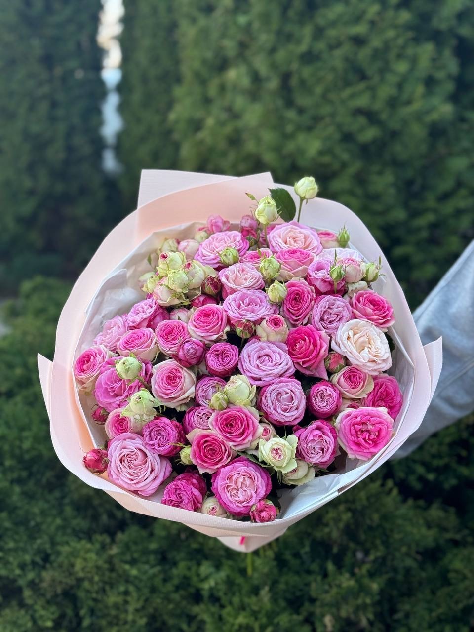 39 роз — джелато и леди бомбастик