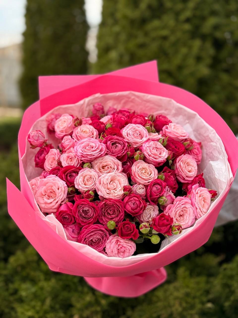 39 роз - Lady Bombastic и Majestic