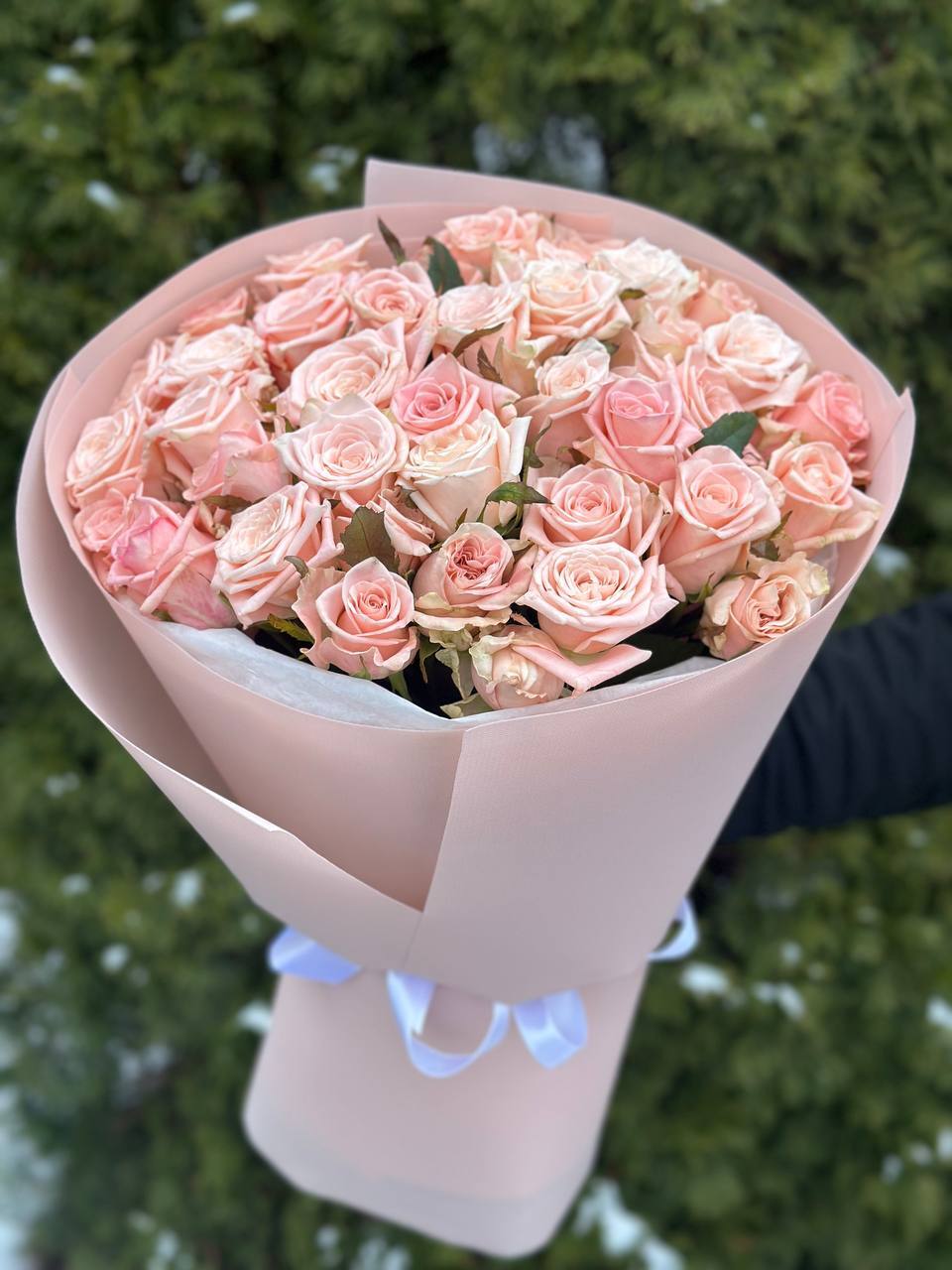 39 Rosen Sorte Kimberly