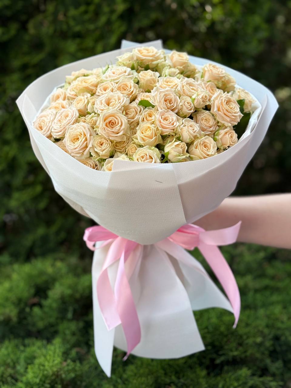 39 веток роз сорта Таня