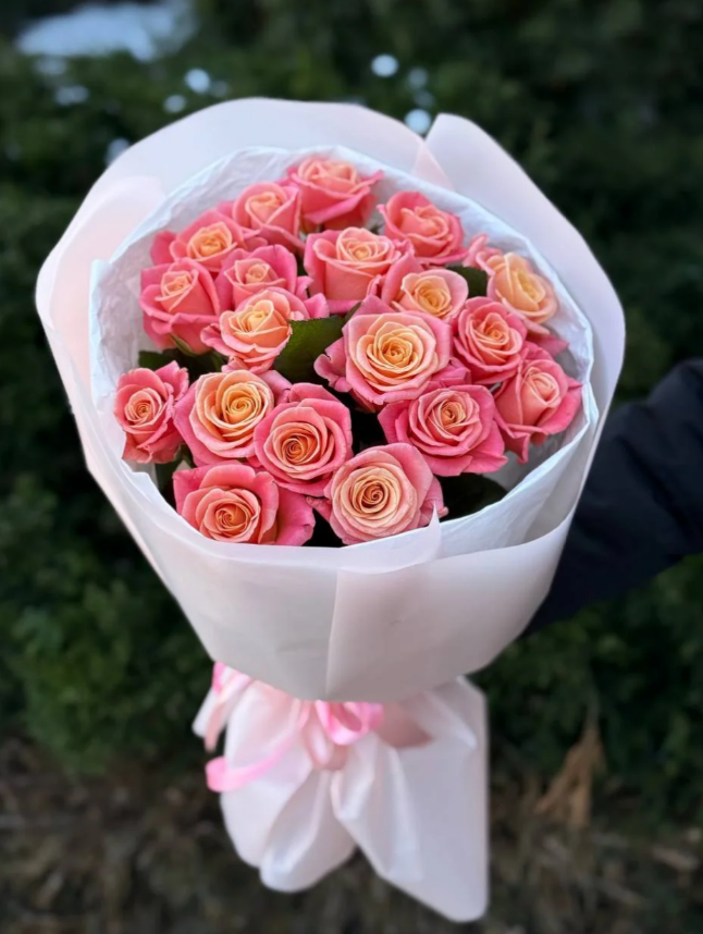 19 Rosen Sorte Miss Piggy