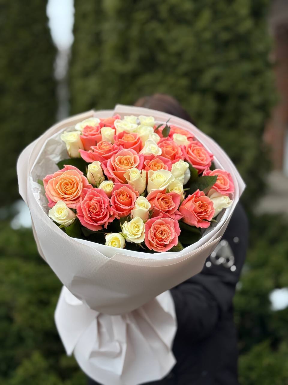 39 роз — Мисс Пигги и Белуга