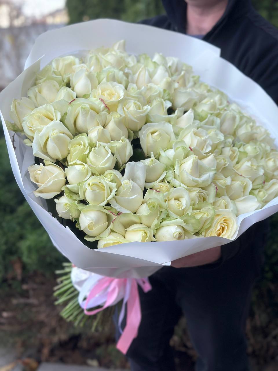 101 Rosen Sorte Avalanche