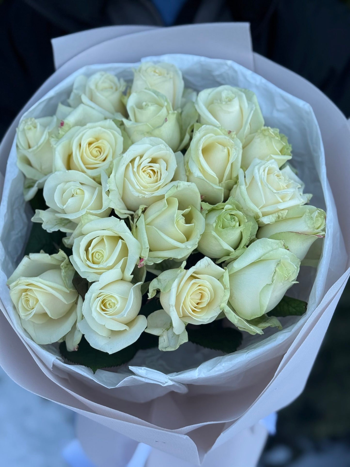 19 Rosen Sorte Avalanche