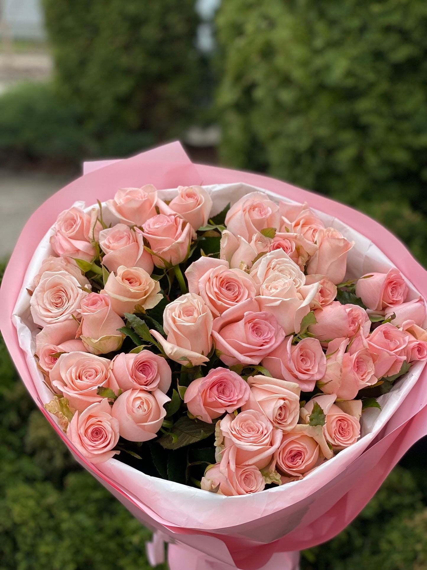 39 роз Кимберли