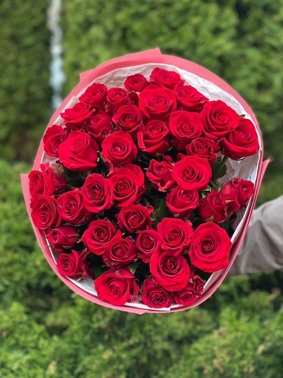 39 роз Ред Игл
