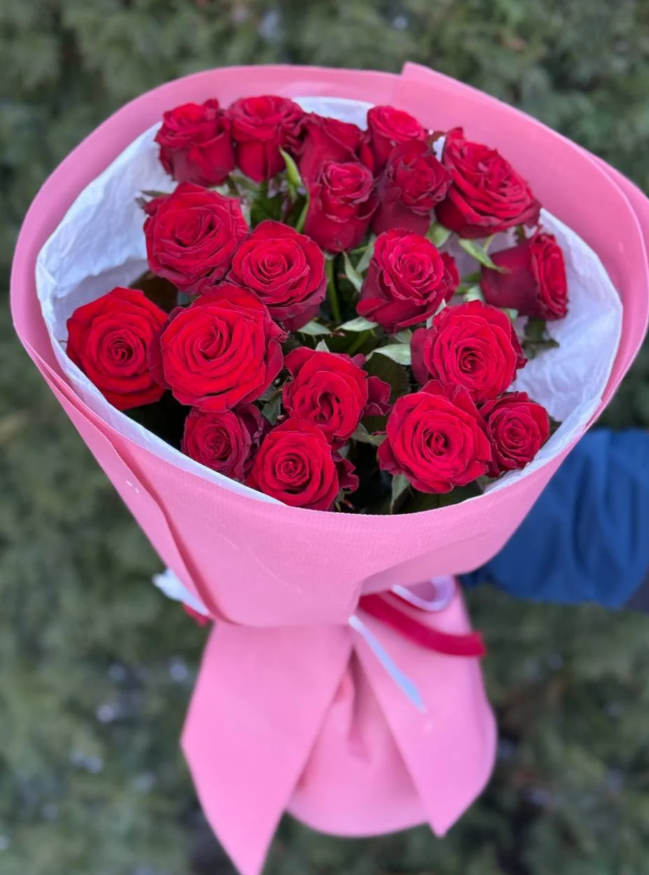 19 Rosen Sorte Prestige