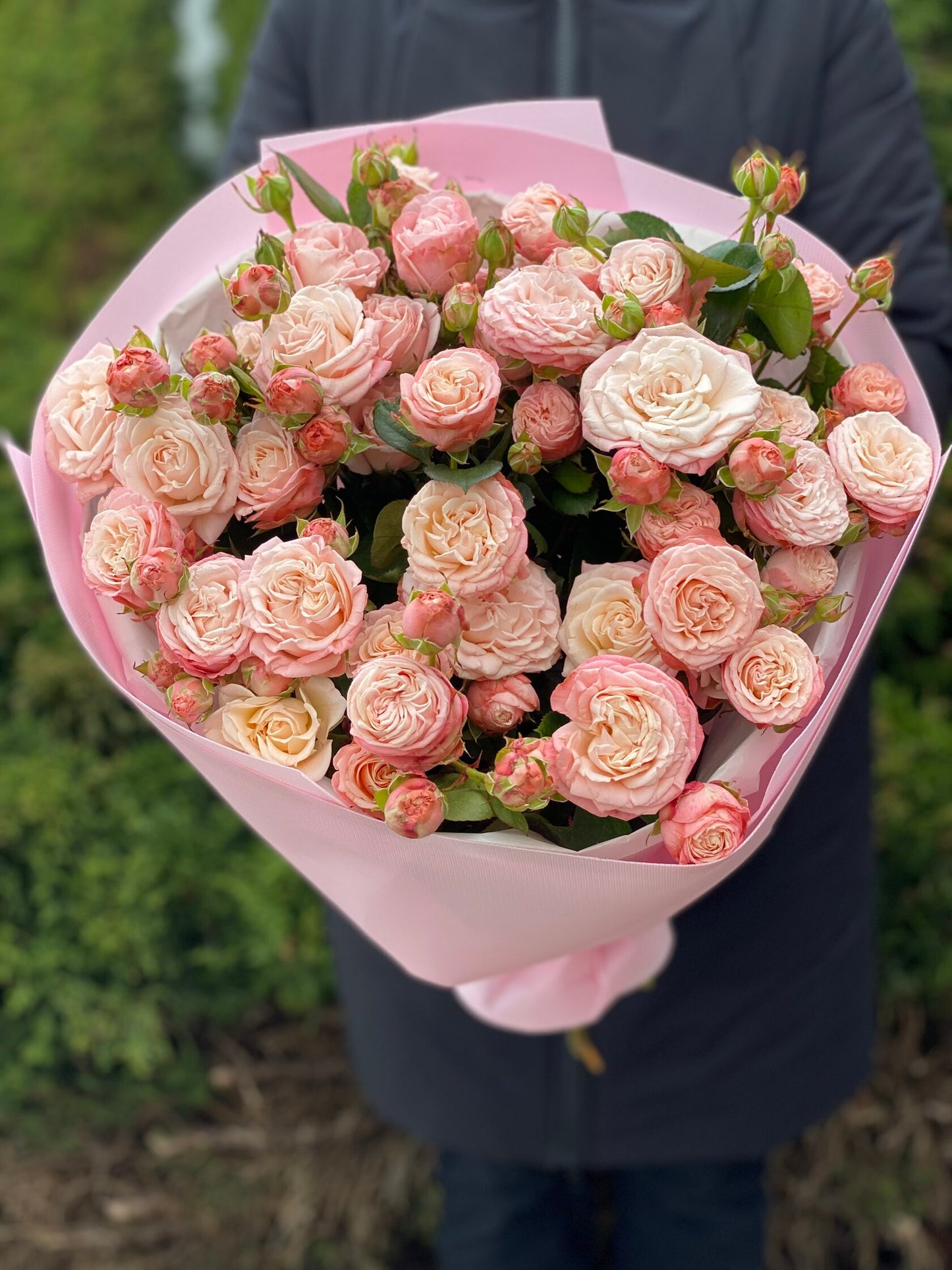 19 Strauß-Pfingstrosenrosen Sorte Madame Bombastic
