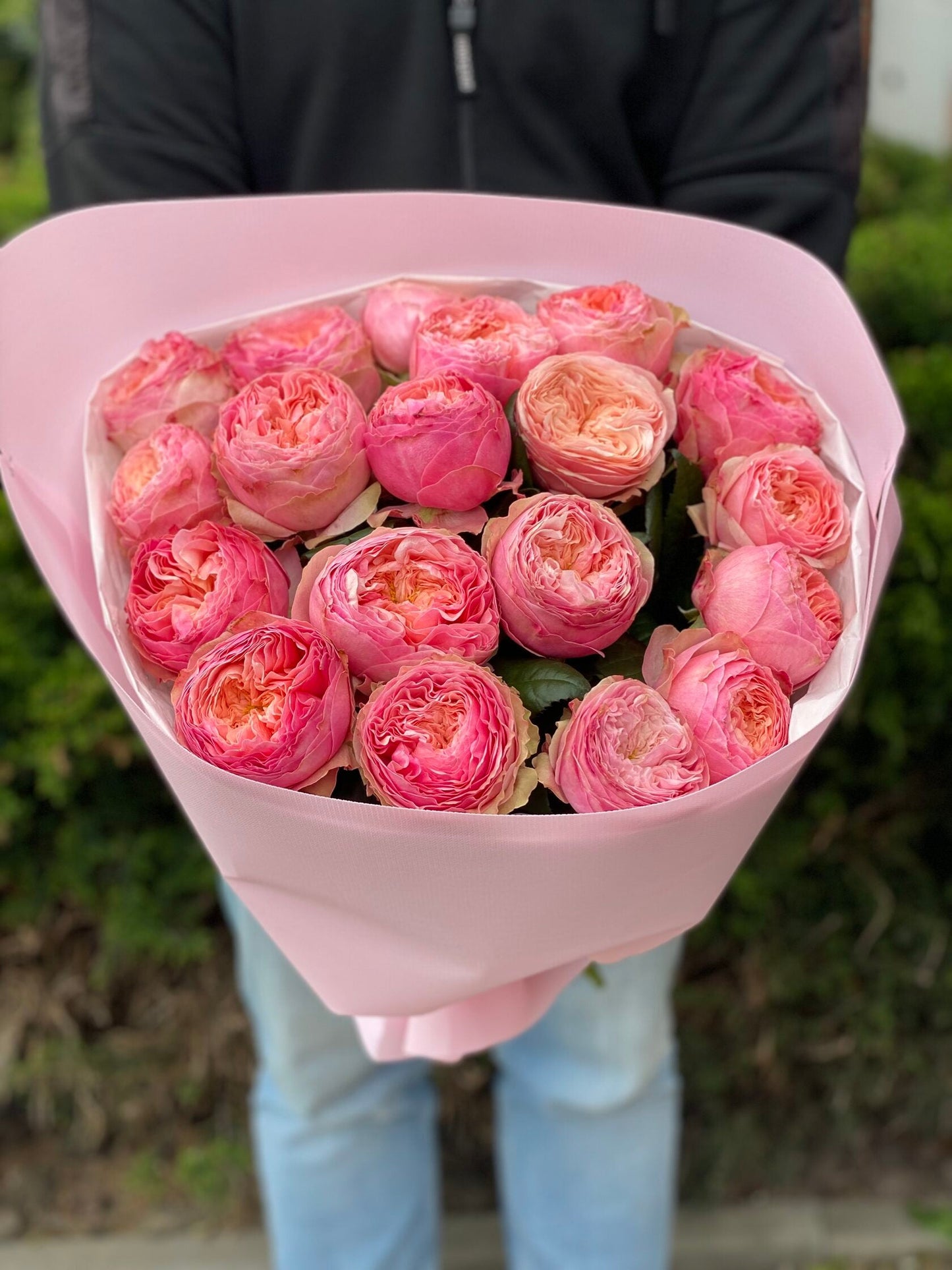 19 пионовидных роз сорта Харпер