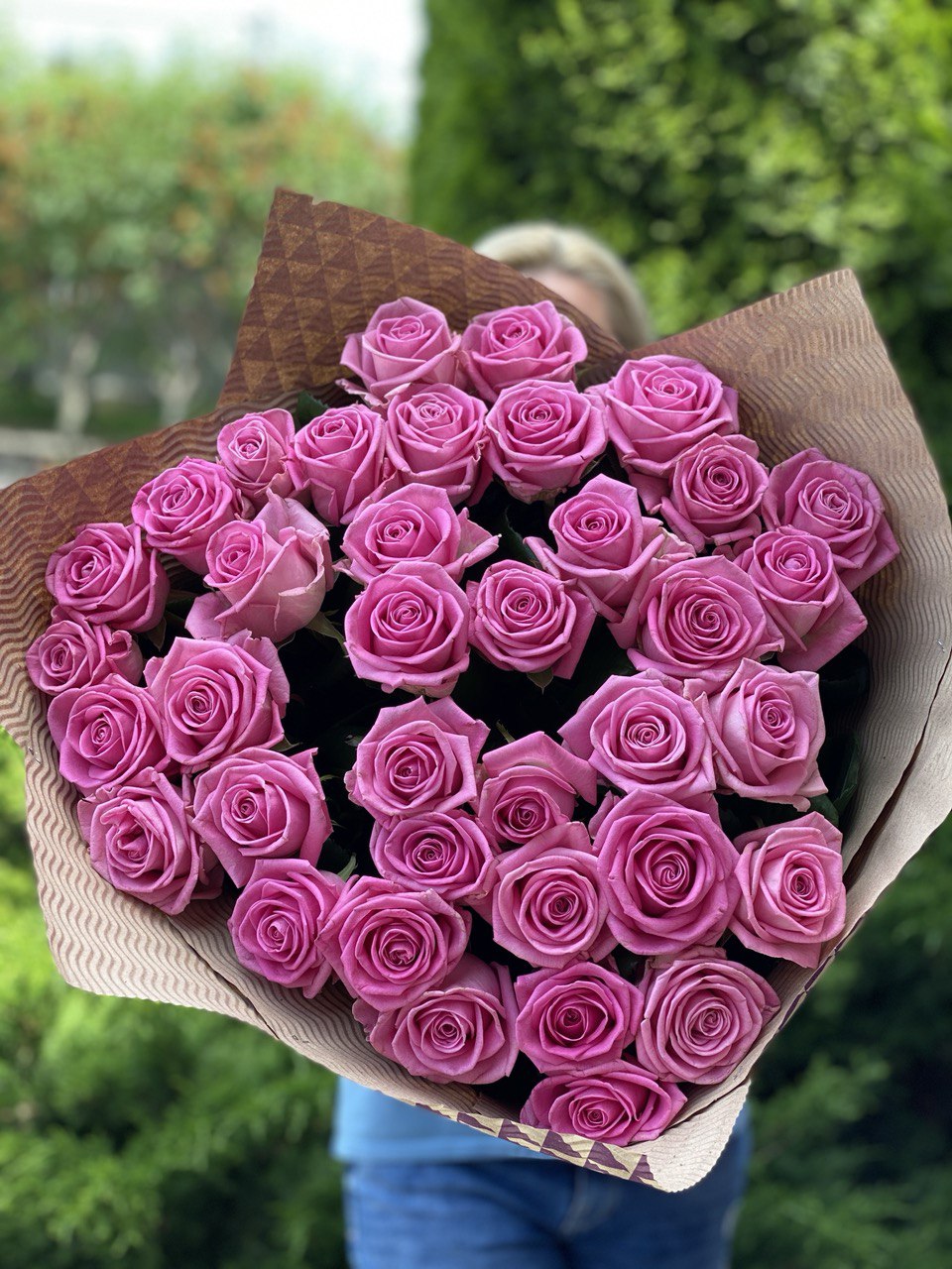 51 Rosen der Sorte Aqua