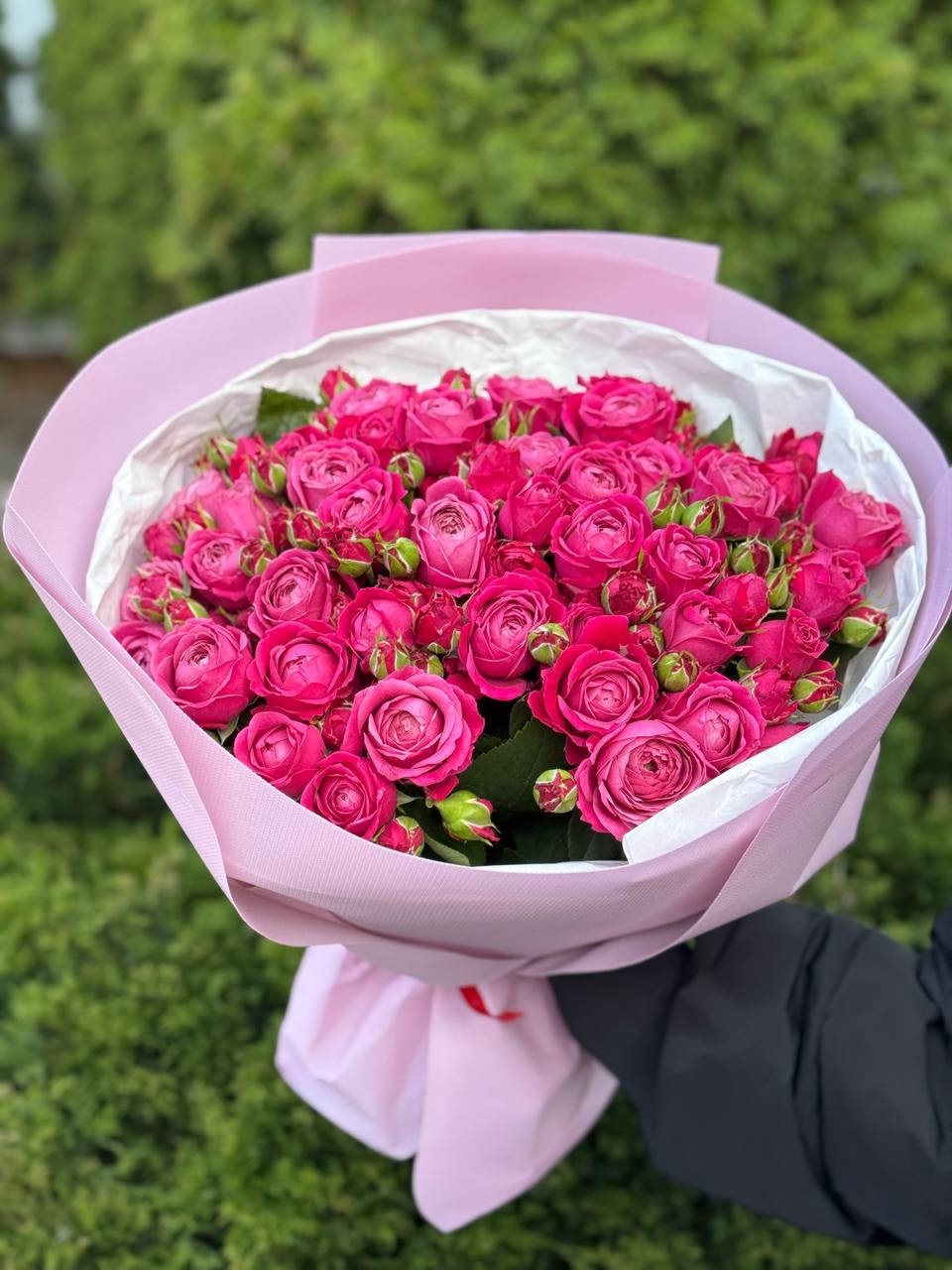 39 пионовидных роз сорта «Маджестик»